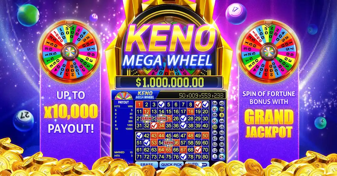 bet558 betanp cassino entretenimento